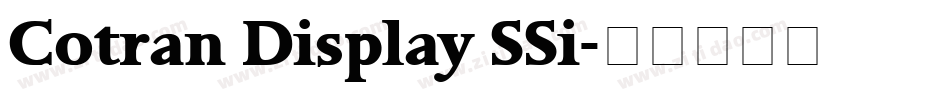 Cotran Display SSi字体转换